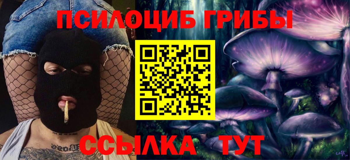 Галлюциногенные грибы мицелий Бузулук